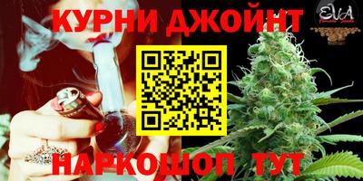 шишки Изобильный