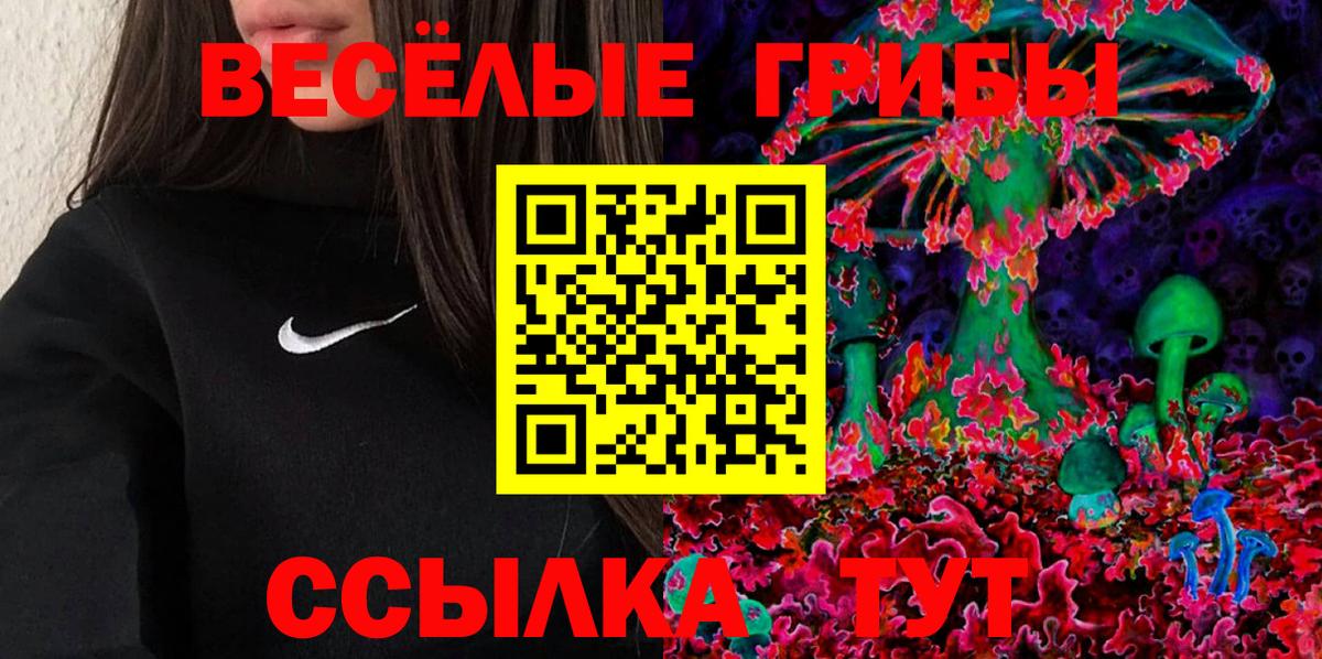 Черногорск  Псилоцибиновые грибы прущие грибы  Псилоцибиновые грибы мухоморы  Вход с VPN 