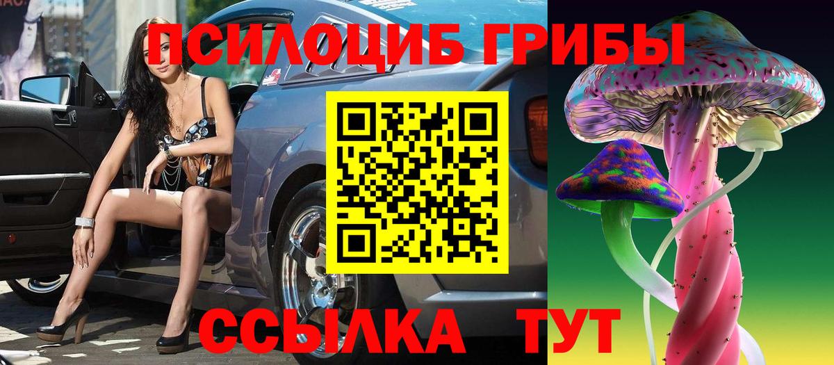 Псилоцибиновые грибы Psilocybine cubensis Черногорск